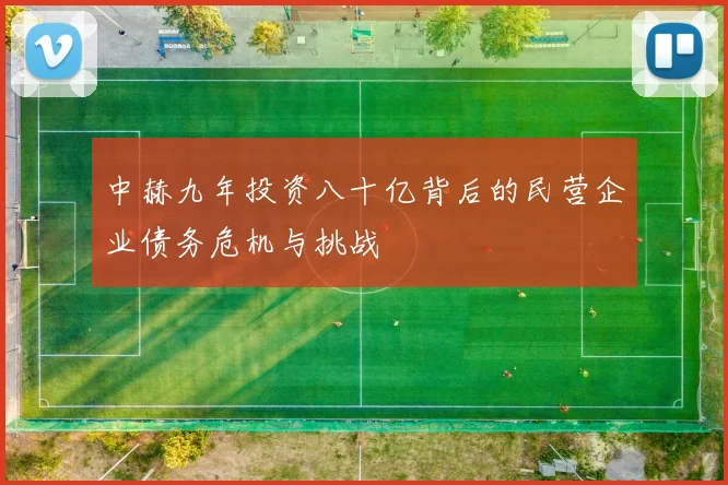 中赫九年投资八十亿背后的民营企业债务危机与挑战